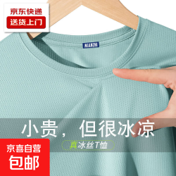 她及其他 冰丝短袖夏季网眼上衣男装加大简约大码百搭宽松T恤休闲半袖衣服 浅绿色 网眼短袖 3XL