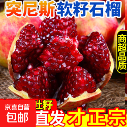 精选突尼斯软籽石榴四川会理新鲜水果现摘产地直发大果包邮 两斤200g+