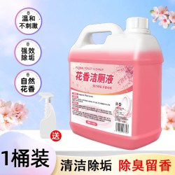 洁厕灵强力除垢除臭清香型液洗马桶厕所清洁剂去渍强力去污渍去黄