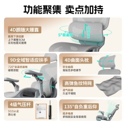 赛谷 S1 人体工学电脑椅 S1黑色+尼龙脚+6D扶手+4级气杆+有脚踏