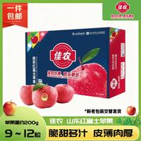 佳农 红富士苹果 12个 单果重180-240g
