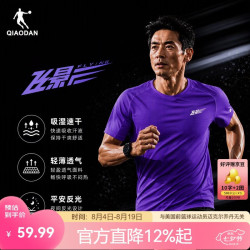 乔丹 飞影PB短袖男t恤2025夏季马拉松跑步吸湿速干衣男士运动上衣 宫廷紫 XL