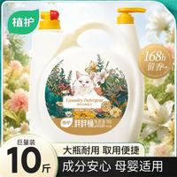 植护 胖胖桶香氛洗衣液10斤*1瓶(馥玉晚香)