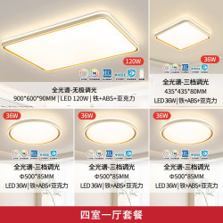 雷士 全光谱柠梦客厅灯【4室1厅】