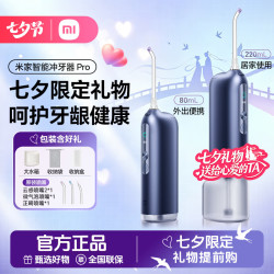 小米 米家智能冲牙器 Pro 穿透齿缝 深度洁净 双模块化水箱 口腔护理 三种出水方式 未来暮色 3支喷头