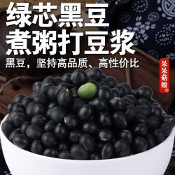 呆呆菇娘 绿芯黑豆1斤大黑豆青仁绿心乌豆黑大豆打豆浆原材料D