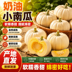 奶油南瓜 1 斤