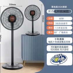 志高 电风扇