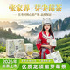  茗满江 张家界特级芽尖莓茶土家龙须藤茶办公室茶叶60g罐（送礼品袋）　