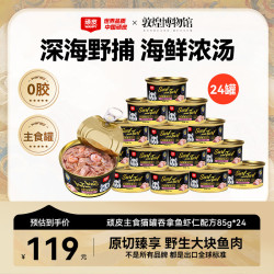 顽皮 经典全价主食猫罐 吞拿鱼牛肉配方 85g*24罐