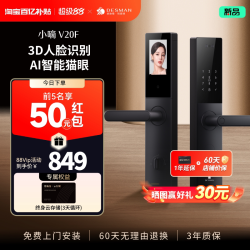 德施曼 V20F 指纹密码电子锁