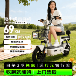 驰小虎 长续航 电动自行车  铅酸电池 茶白 20Ah 48V