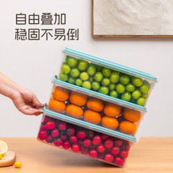 禧天龙 冰箱收纳盒保鲜盒食品级密封保鲜冷冻专用厨房水果蔬菜鸡蛋储物盒 2个装4L