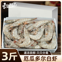 东上御品 厄瓜多尔白虾 盐冻 15-17cm 3斤