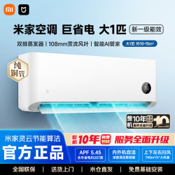 小米 MI）米家空调 大1匹 巨省电 2026款 超一级能效变频冷暖 纯铜管 26GW-PG10/N1A1 巨省电大1匹