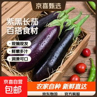 京喜加茄子紫皮长茄高原农家自种紫把长茄新鲜整箱蔬菜现摘现发 茄子带箱6斤