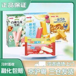 明治 冰淇淋雪糕 10支装480g*1盒