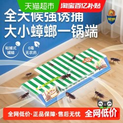 超威 6920174741872 超威蟑螂药捕蟑屋 4片