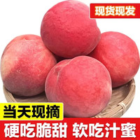 陇百味 山西水蜜桃 现摘新鲜当季应季时令水果整箱桃子脆甜软硬两吃 带箱5斤精品果