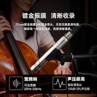 爱克创 T01A现场舞台专业电容麦克风管弦录音话筒演出乐器