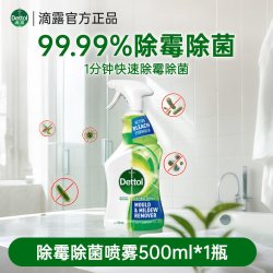 滴露 泡沫清洁除霉除菌喷雾