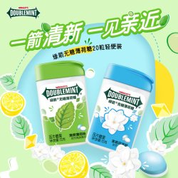 绿箭 薄荷糖无糖约20粒瓶装便携装清新口气零食糖果