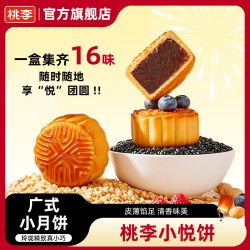 桃李 小月饼400g迷你豆沙水果月饼广式月饼中秋送礼盒糕点心16饼k