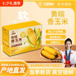 丰粮甄厨 当季东北黄糯玉米280g×8支金黄铝箔装黏糯真空锁鲜
