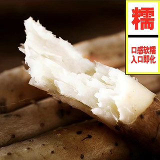 纤果时光 温县垆土铁棍山药 5斤