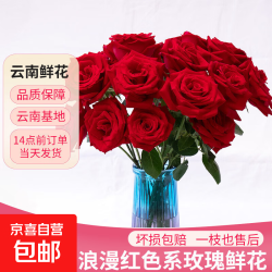 京喜 七夕限定！鲜花情人节礼物 红玫瑰10枝