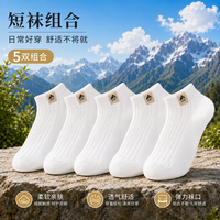 勋阳宇乐 夏季薄款低帮浅口潮流百搭休闲袜 五双装
