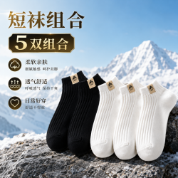 勋阳宇乐 夏季薄款低帮浅口潮流百搭休闲袜 五双装