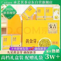 承艺 黄金芽茶叶特级绿茶2026新茶安吉白茶茶叶礼盒高档
