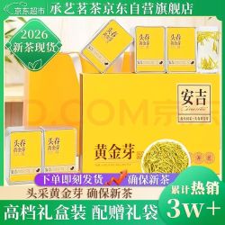 承艺 黄金芽茶叶特级绿茶2026新茶安吉白茶茶叶礼盒高档