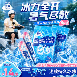 洁云 清凉降温湿巾 5条