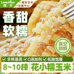 隆平 鲜食甜糯玉米棒 非转基因独立真空包装早餐杂粮低脂 云南花糯玉米3.2斤