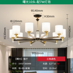 雷士 吊灯客厅灯轻奢餐厅灯饰 曙光10头-带防尘盖吊灯 赠光源