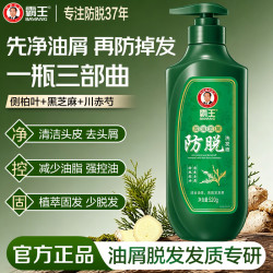 霸王 控油去屑防脱洗发水520g