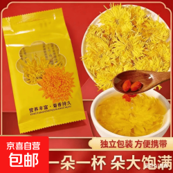 金丝菊花茶独立包装单朵泡开6-8厘米  3g