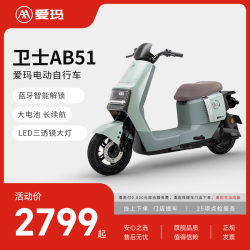 爱玛 卫士AB51 长续航电动自行车 TDR8106Z