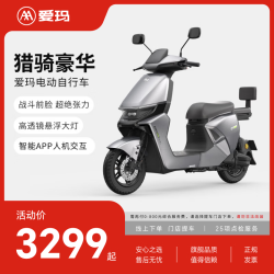 爱玛 猎骑S1 长续航 电动自行车