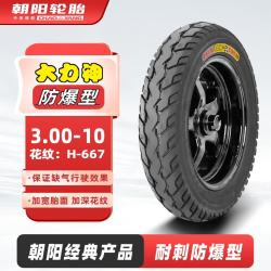 朝阳轮胎 ChaoYang)3.0010电动车轮胎真空胎 大力神耐磨防爆型6层 电瓶车/摩托车轮胎 H667 TL