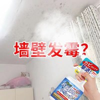 天天特卖工厂 墙体除霉剂 1瓶装