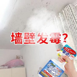 天天特卖工厂 墙体除霉剂 1瓶装