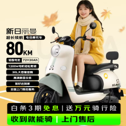 新日 丽曼 72V 80km长续航 铅酸电池电动摩托车 绿色