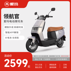 爱玛 领航官 72V22AH石墨烯电池 璀璨灰 电动摩托车