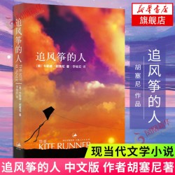 《追风筝的人》（2018版）
