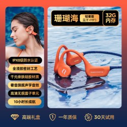 SHEYIN IPX8级深度防水 专业游泳耳机