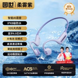 YuanS beta 2pro 骨传导游泳防水 蓝牙耳机
