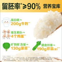 88VIP：金龙鱼 臻选免淘洗胚芽米 2.5kg 大米买一送一共10斤